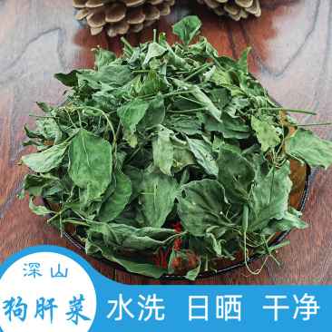 狗肝菜中药材中草药原料批发