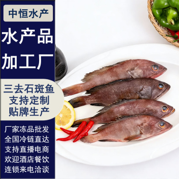 三去石斑鱼批发新鲜免处理1条420g＋袋酒店餐饮食材