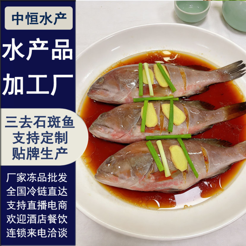 深海三去石斑鱼厂家直发20条1件酒店餐饮食材批发