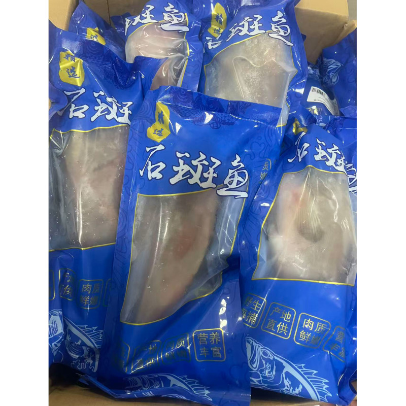 深海三去石斑鱼厂家直发20条1件酒店餐饮食材批发