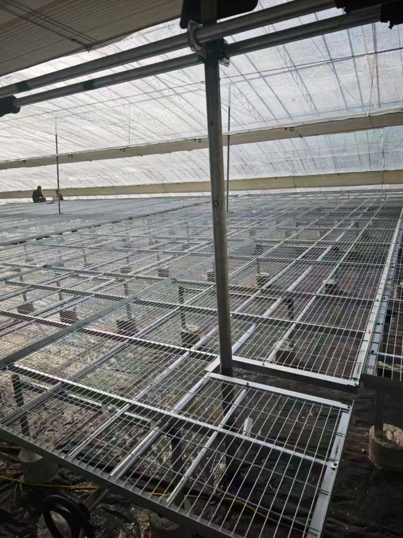 热镀锌育苗床网固定/移动苗床大棚育苗架温室种植栽