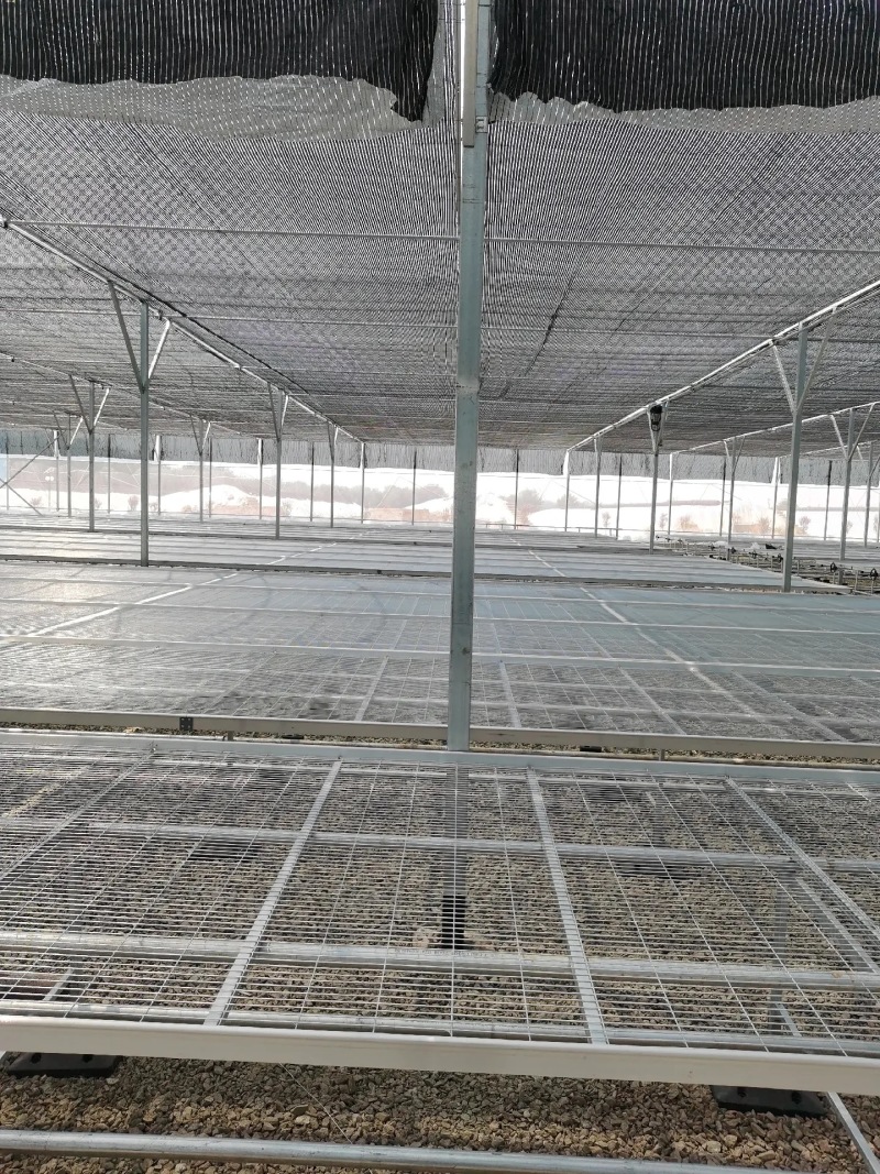 热镀锌育苗床网固定/移动苗床大棚育苗架温室种植栽