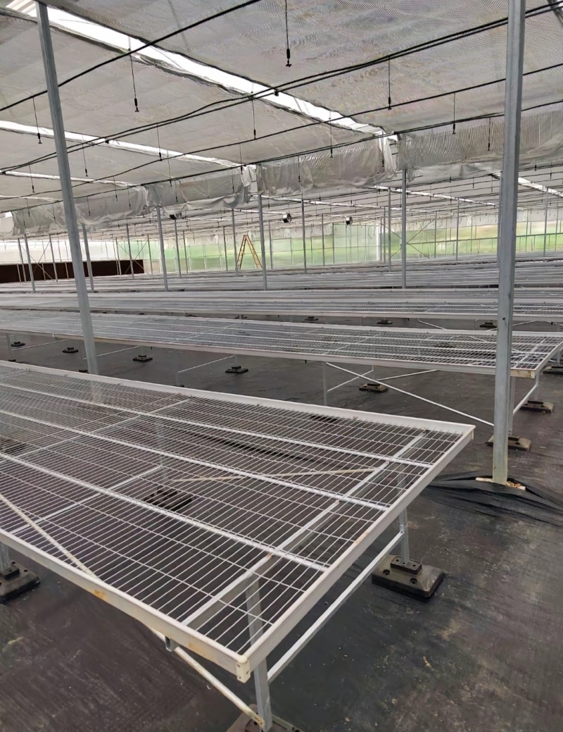 热镀锌育苗床网固定/移动苗床大棚育苗架温室种植栽