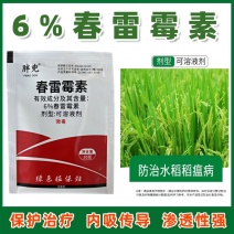 春雷霉素杀菌剂水稻稻瘟病穿孔病疮痂病溃疡病角斑病炭疽病