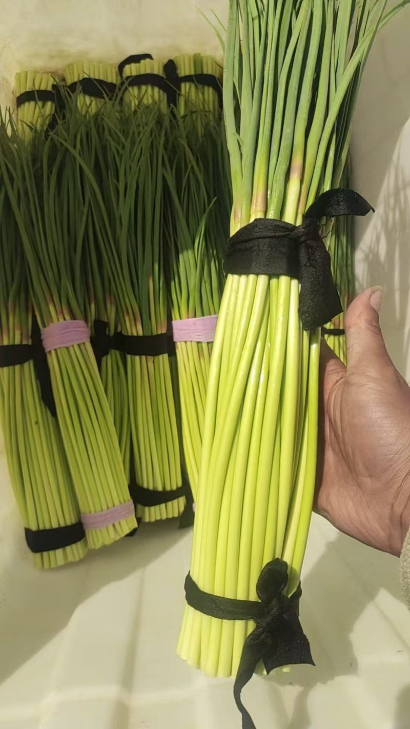 蒜薹