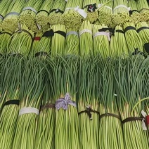 蒜薹