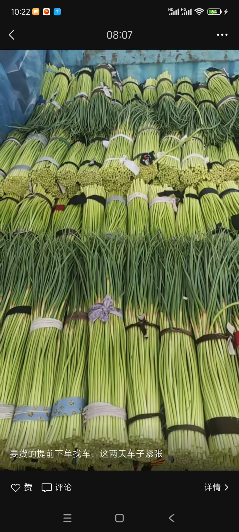 蒜薹