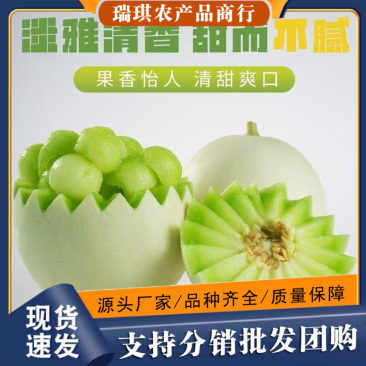 玉菇甜瓜市场货电商货均可集采/一件代发均支持