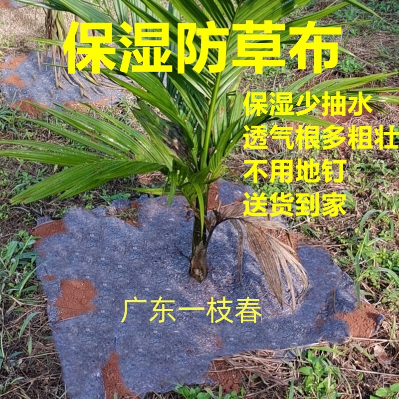 2026年海南土工布保湿防草布批发厂家优选