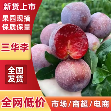 广东银妃三华李