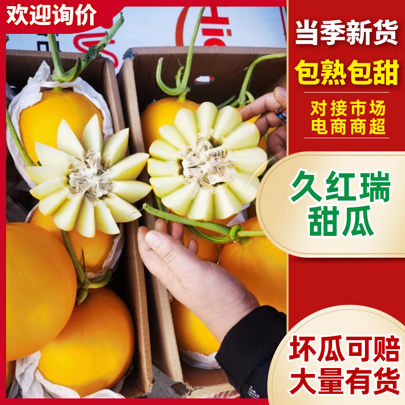 久红瑞甜瓜，沙白，玉菇，直供电商，社区团购，对接各大商超