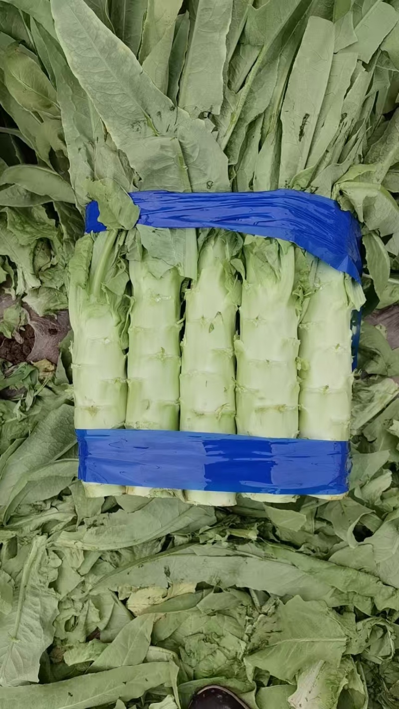 青叶莴苣马上上市了莴笋基地直供，量大优惠，欢迎咨询~