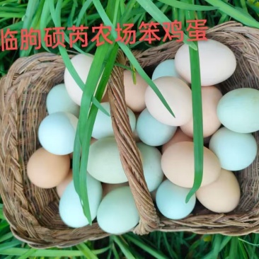 临朐土鸡蛋，大量新鲜现货速发，产品保质保量，欢迎选购