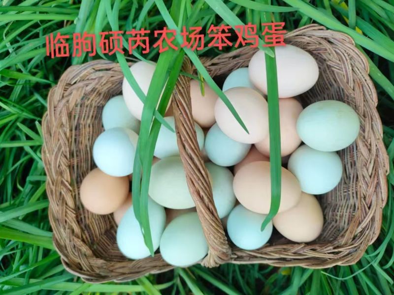 临朐土鸡蛋，大量新鲜现货速发，产品保质保量，欢迎选购