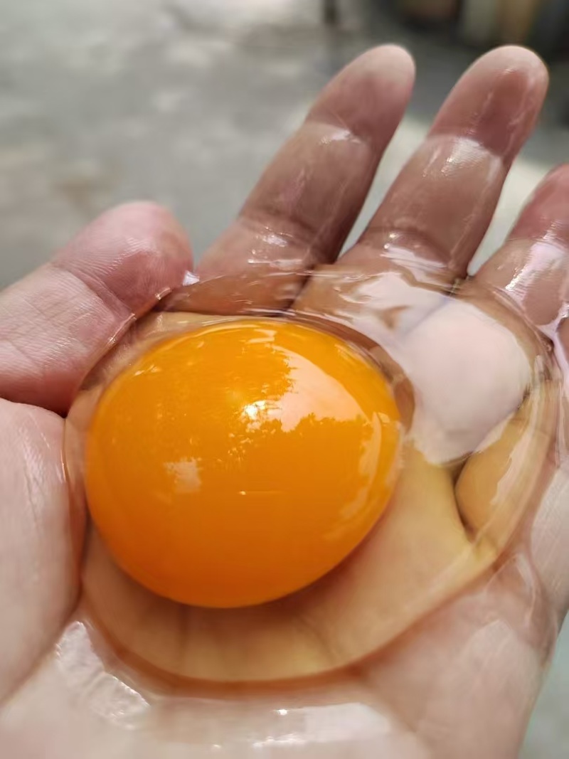 临朐土鸡蛋，大量新鲜现货速发，产品保质保量，欢迎选购