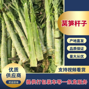 【莴笋杆子】莴笋杆子青皮莴笋杆子无空心产地直发