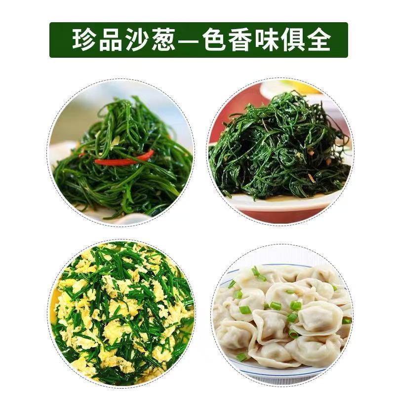 新鲜沙葱现摘现发辛香鲜辣坏烂包赔欢迎老板下单