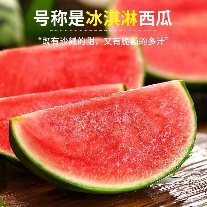 小糖丸西瓜，大量现货速发，物美价廉欢迎选购