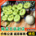 精品玉菇甜瓜产地直发量大从优质量保证诚信经营