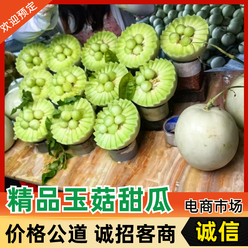 精品玉菇甜瓜产地直发量大从优质量保证诚信经营