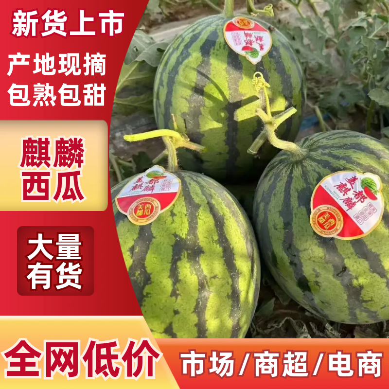 陕西美都西瓜，麒麟西，无籽西瓜，产地直供，品质保证！