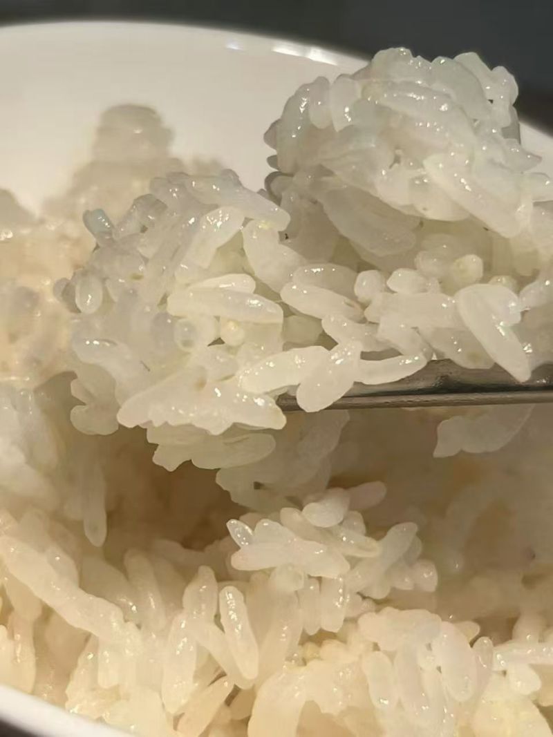 【热卖】厂家直销羊脂籽米大米香米价格优惠欢迎采购