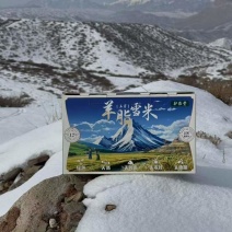 【热卖】厂家直销羊脂籽米大米香米价格优惠欢迎采购
