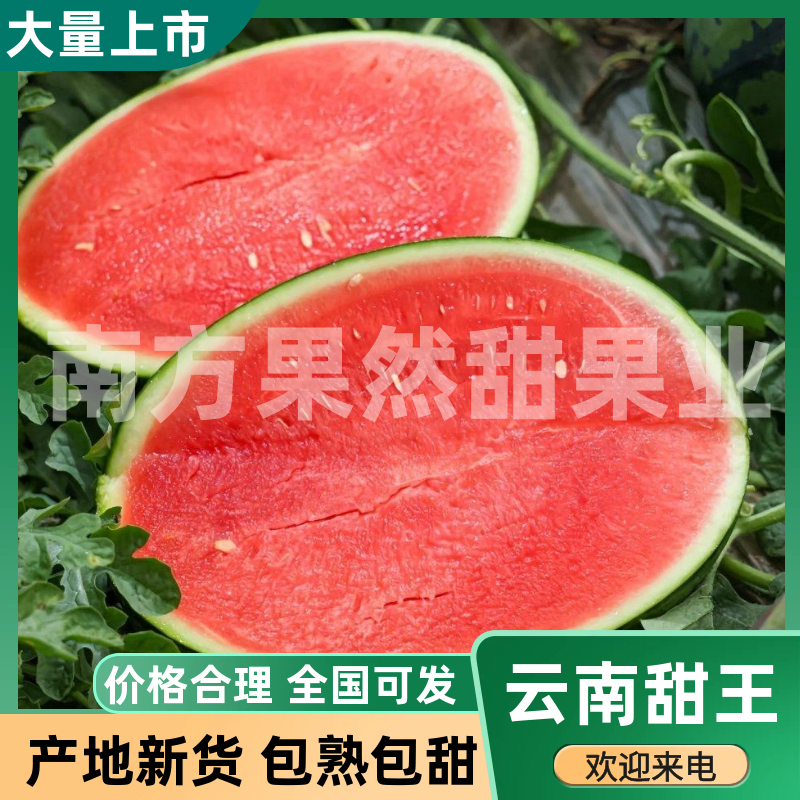 云南精品甜王西瓜大量现货供应，对接电商市场批发商