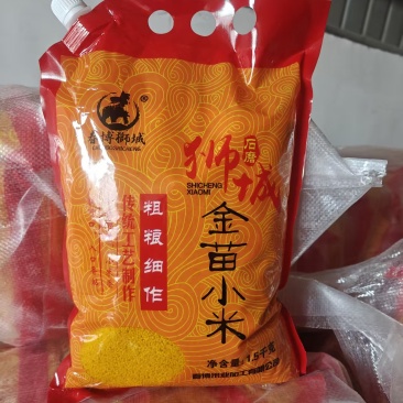 金苗小米