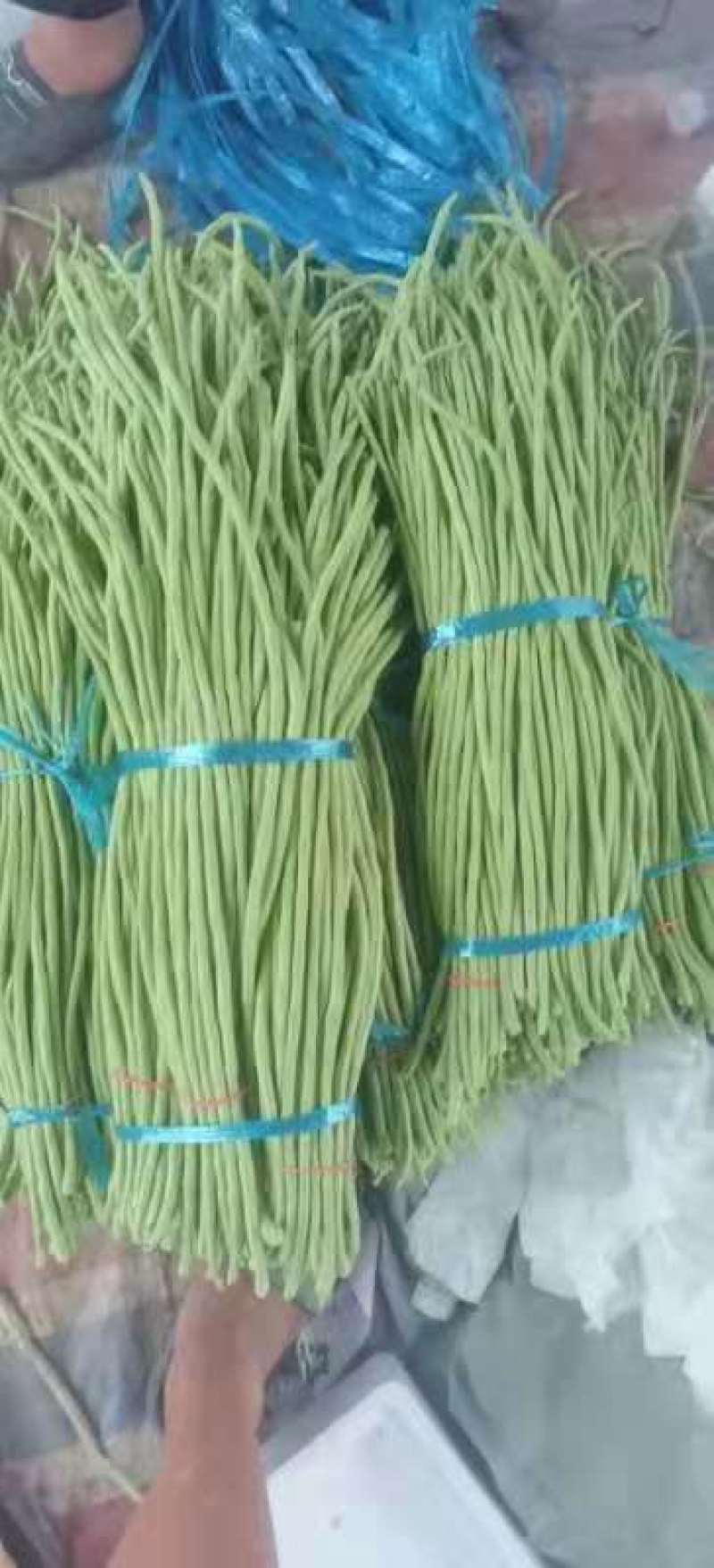 河南长豆角，无鼓豆，颜色好，顺条长，直，产地直供，价格便