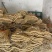 红薯粉条精品粉条厂家直发保质保量对接全国商超市场