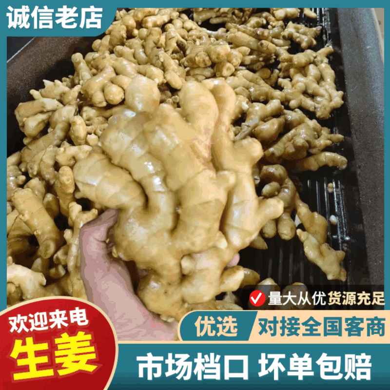 生姜大黄姜小黄姜老姜姜巴按需加工价格低
