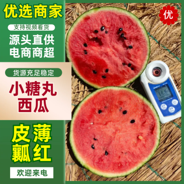 【小糖丸西瓜】东潍坊地爬2k小糖丸，手剥皮西瓜大量上市