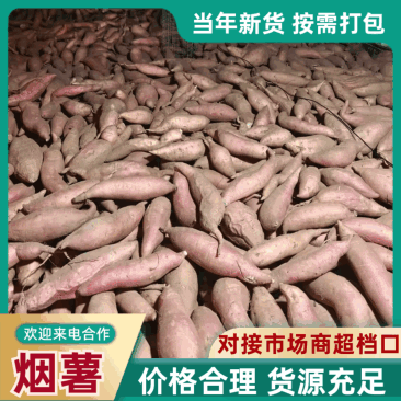 2026烟薯25软糯香甜流油批发电商烤薯店价格便宜