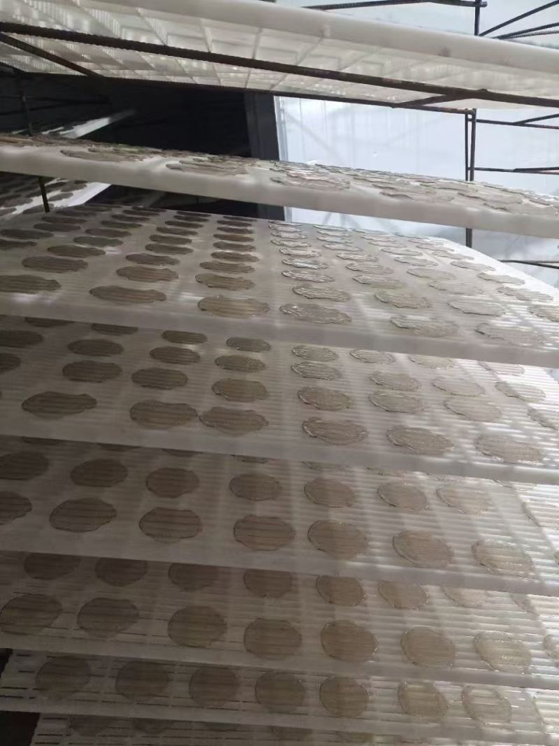 红薯粉皮厂家直发质量保障对接全国量大优惠