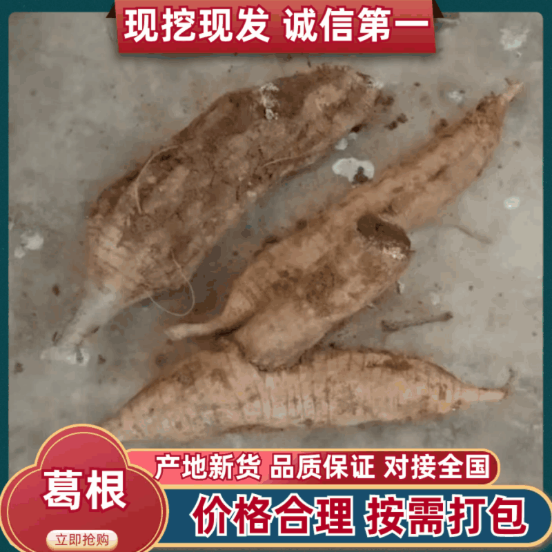 【葛根】产地直销量大质优价格优惠规格齐全欢迎采购