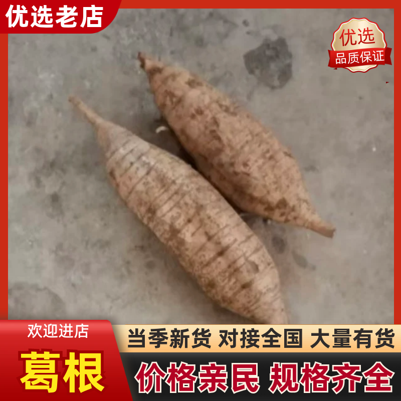 【葛根】产地直销量大质优价格优惠规格齐全欢迎采购