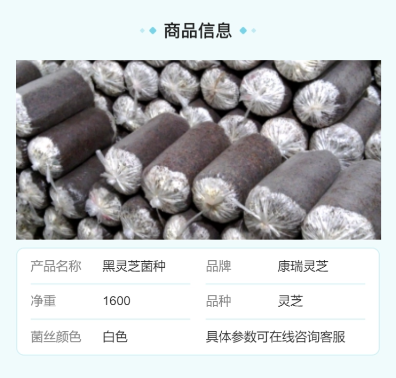 【牛商优选】灵芝菌包新手易种食用观赏两用厂家直销