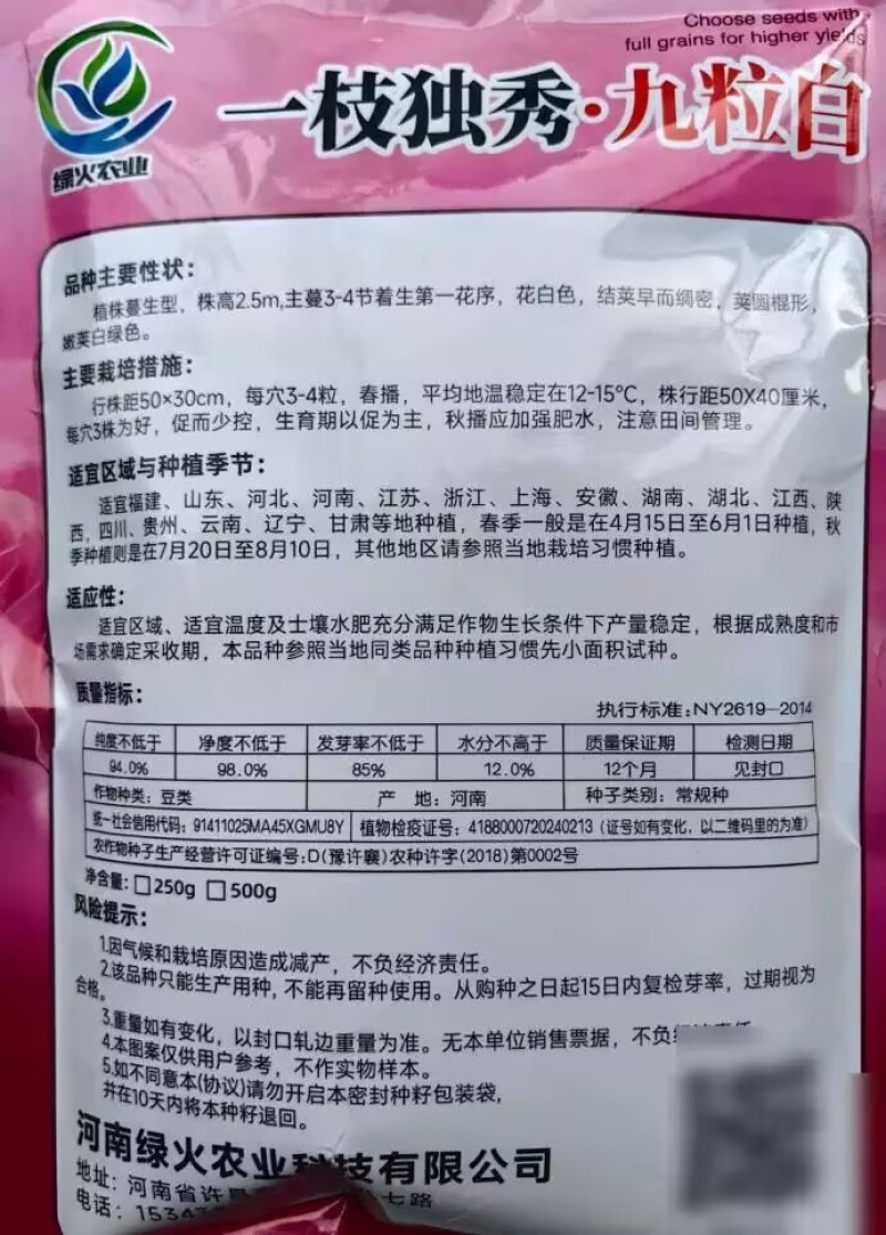 高纯九粒白芸豆种子四季豆角种籽孑早熟高产春秋季老来少豆角