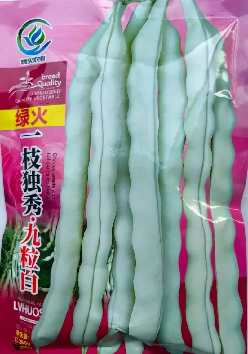 高纯九粒白芸豆种子四季豆角种籽孑早熟高产春秋季老来少豆角