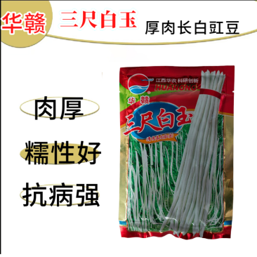 华赣三尺白玉豆角种子早熟荚粗糯性好厚肉银白纯白豆角种江西