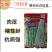 华赣三尺白玉豆角种子早熟荚粗糯性好厚肉银白纯白豆角种江西