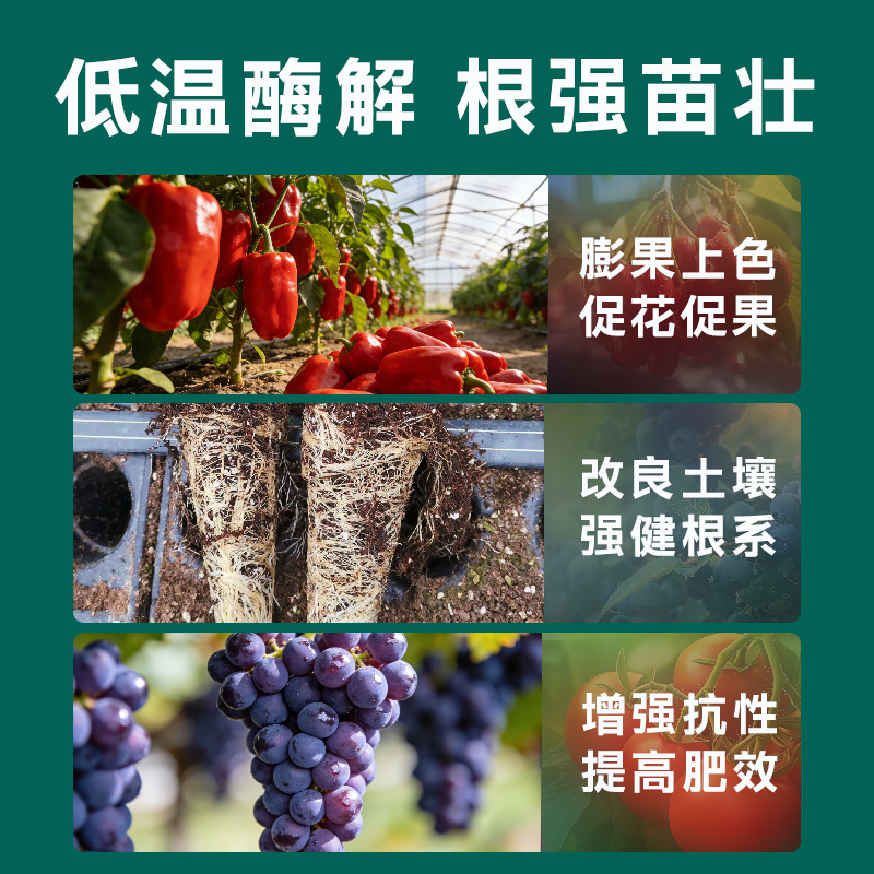 鱼蛋白水溶肥氨基酸叶面肥农用冲施肥桶肥生根剂鱼蛋白水溶肥