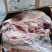 431件套，25.8月，带清真标巴西牛肉主要卖厂号