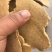 瓦块豆饼