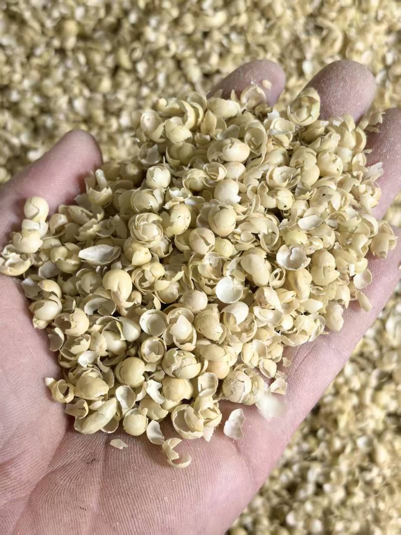 大豆皮黄豆皮