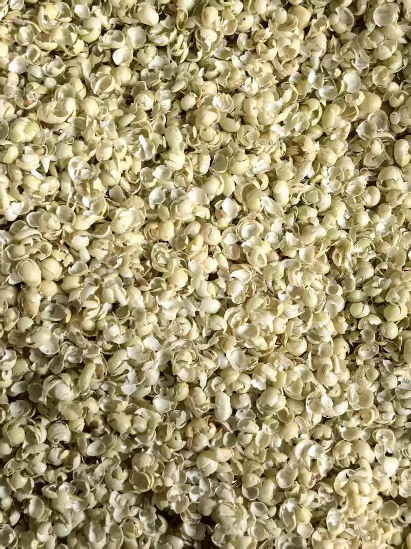 大豆皮黄豆皮