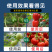 多肽鱼蛋白水溶肥生根壮苗保花膨果上色增甜有机水溶肥
