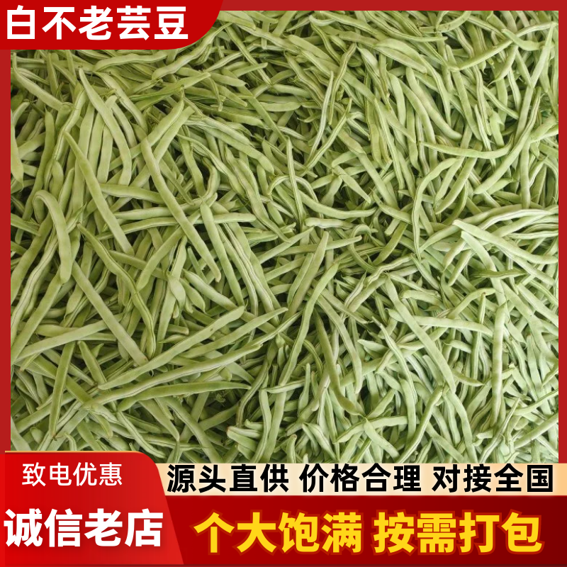 白不老芸豆产地直销量大，优质欢迎广大客商前来采购