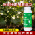 氨基酸水溶肥果树植物保护促花促果增产叶面肥